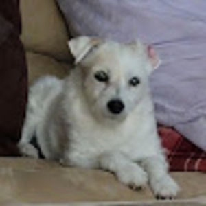 Meet your Posher, Maureen